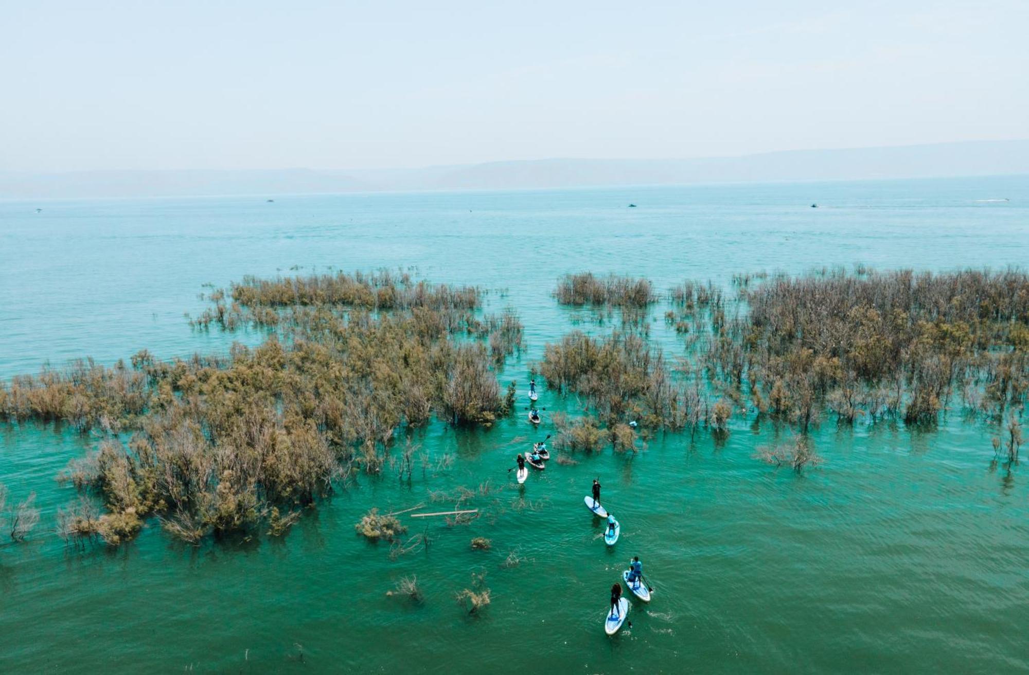 Selina Kinneret Migdal Dış mekan fotoğraf